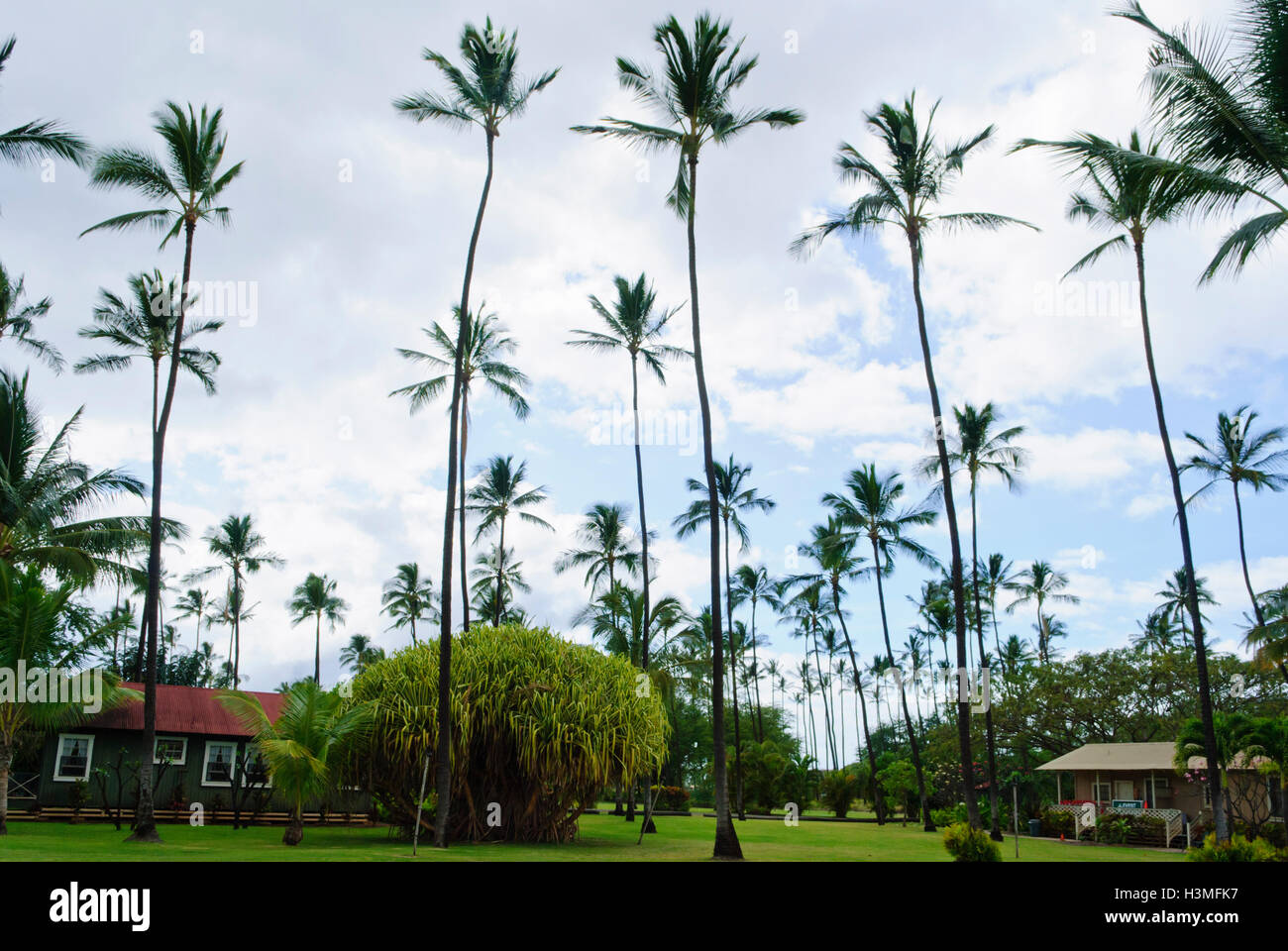 Plantation Cottages Waimea Kauai Hawaii Beach Travel Usa Stock