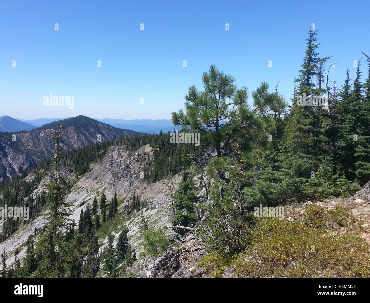 a view from the PCT in the Mt. Jefferson wilderness Stock Photo