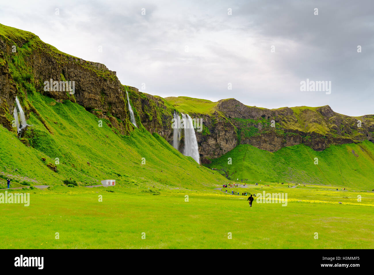 Skogafoss and the field of various flowers in Iceland Stock Photo