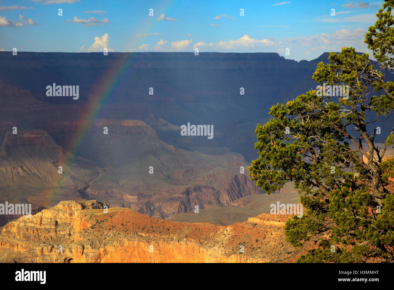South Rim Grand Canyon, Arizona, USA Stock Photo - Alamy