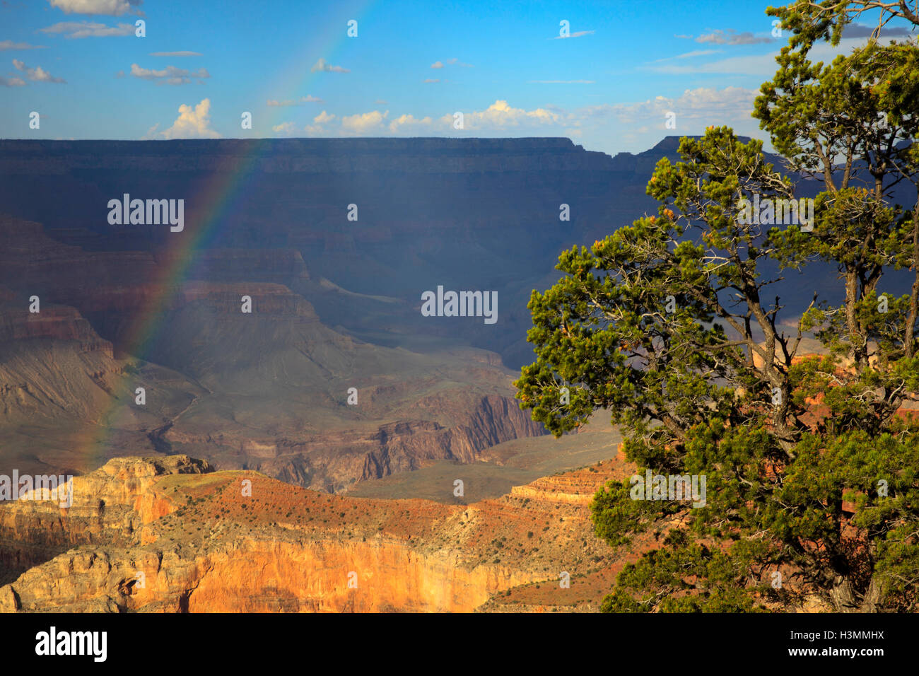 South Rim Grand Canyon, Arizona, USA Stock Photo - Alamy