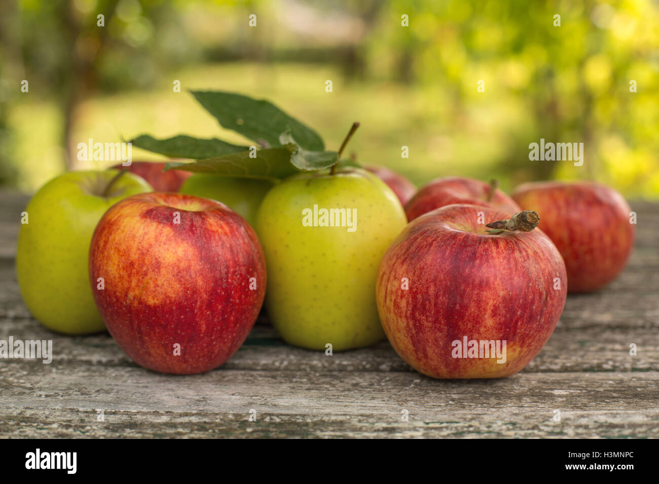 Ripe apples on a wooden table, on green outdoor background Stock Photo ...