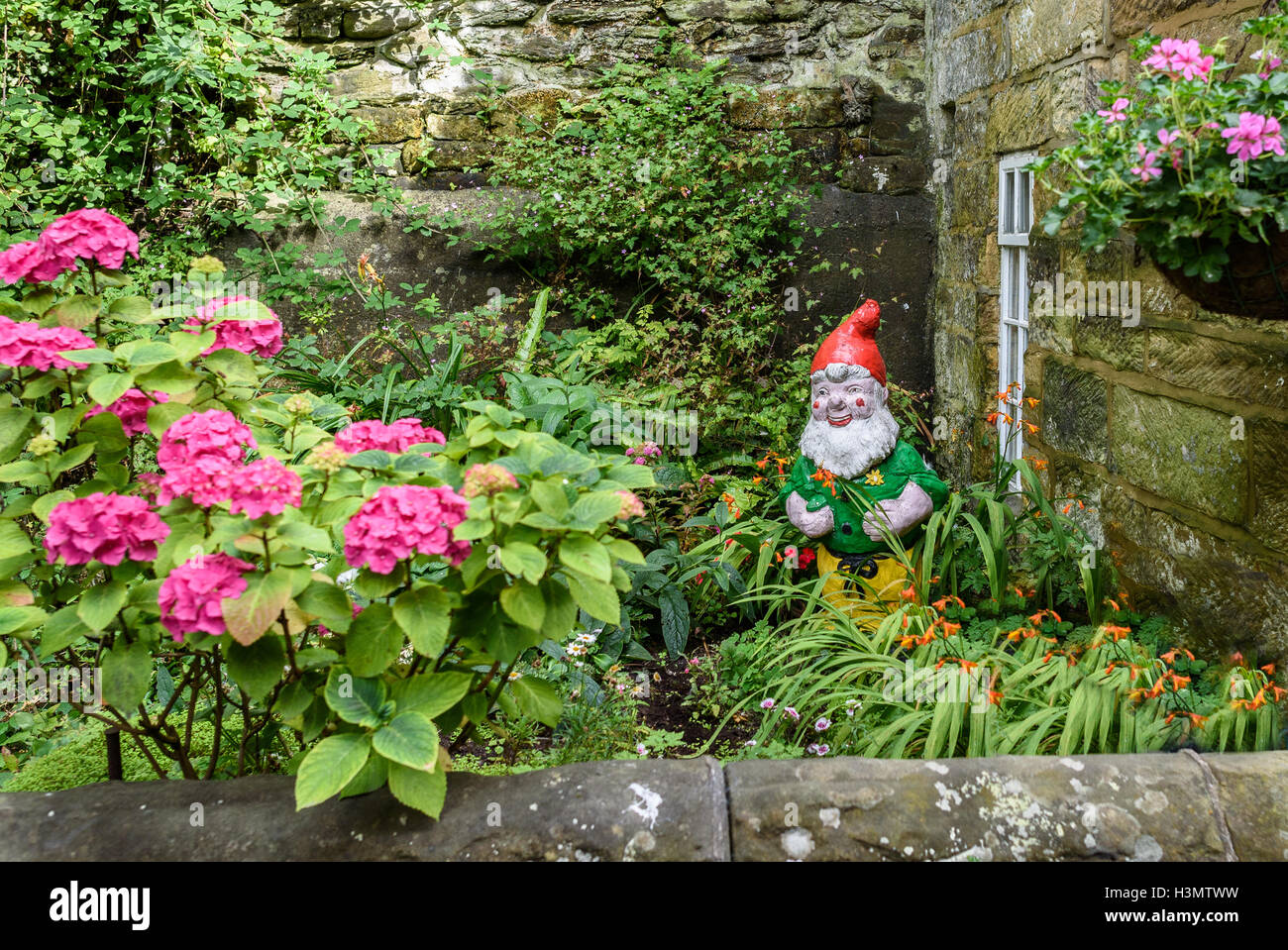 Garden Gnome in a cottage garden. Stock Photo