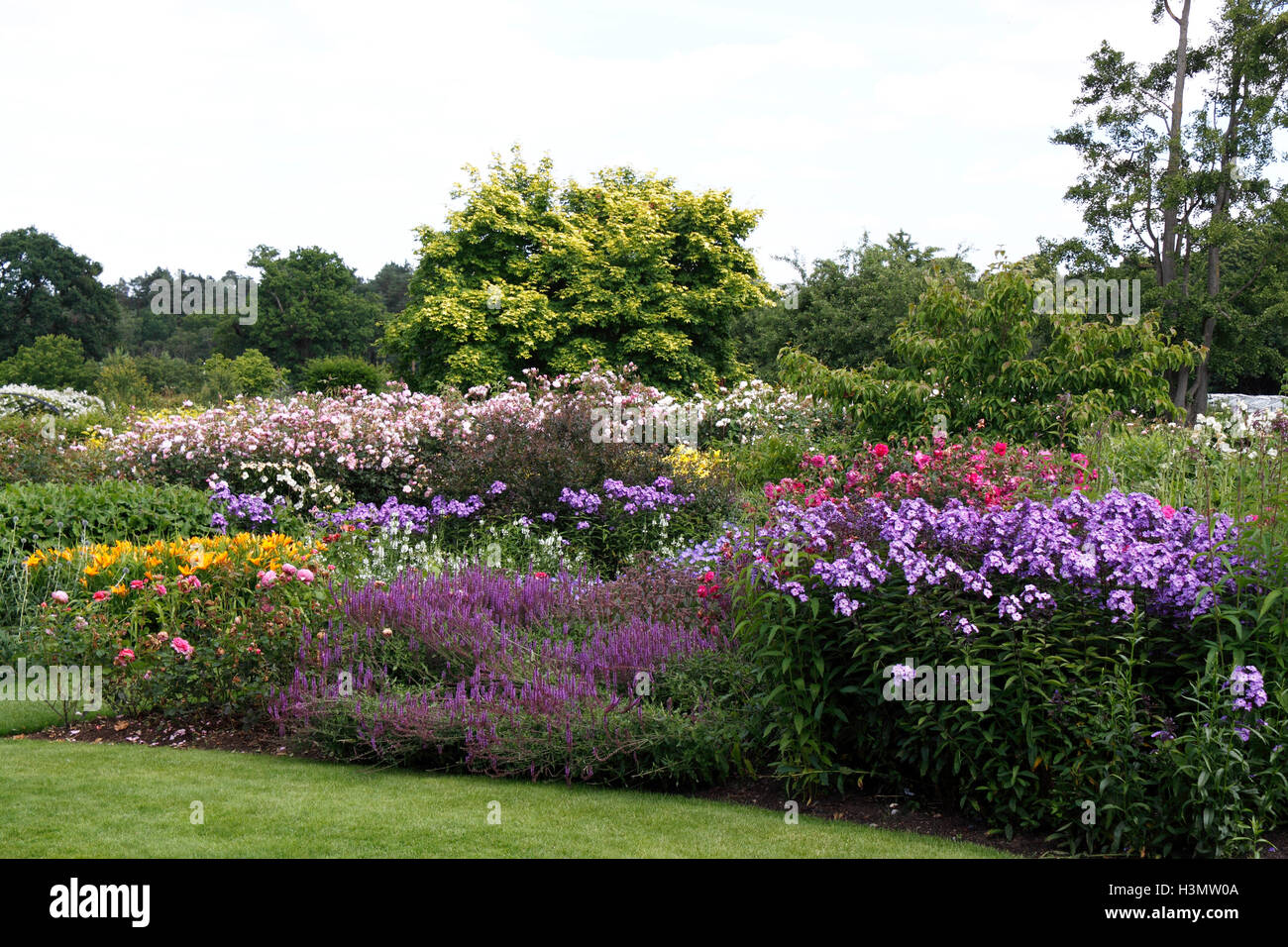 SUMMER FLOWER BEDS AND BORDERS AT RHS WISLEY Stock Photo Alamy