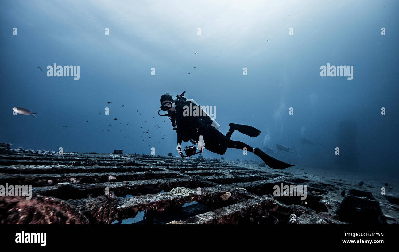 Underwater view of diver exploring shipwreck, Jupiter, Florida, USA Stock Photo