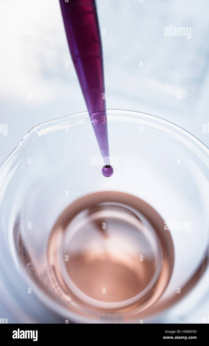 Litmus indicator dropping from pipette into beaker for pH test Stock Photo