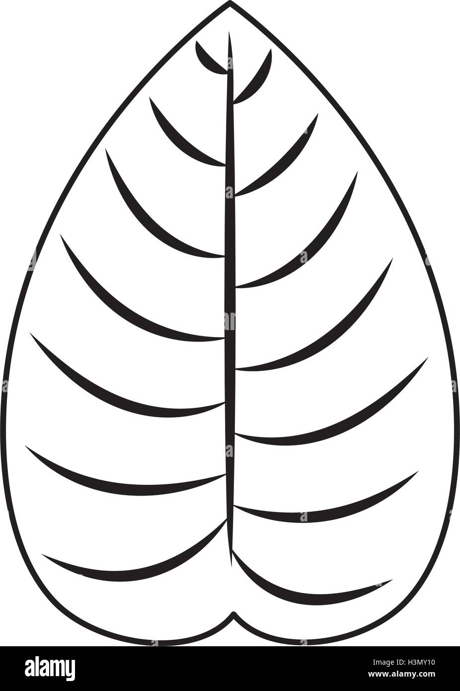 Isolated and silhouette leaf design Stock Vector Image & Art - Alamy