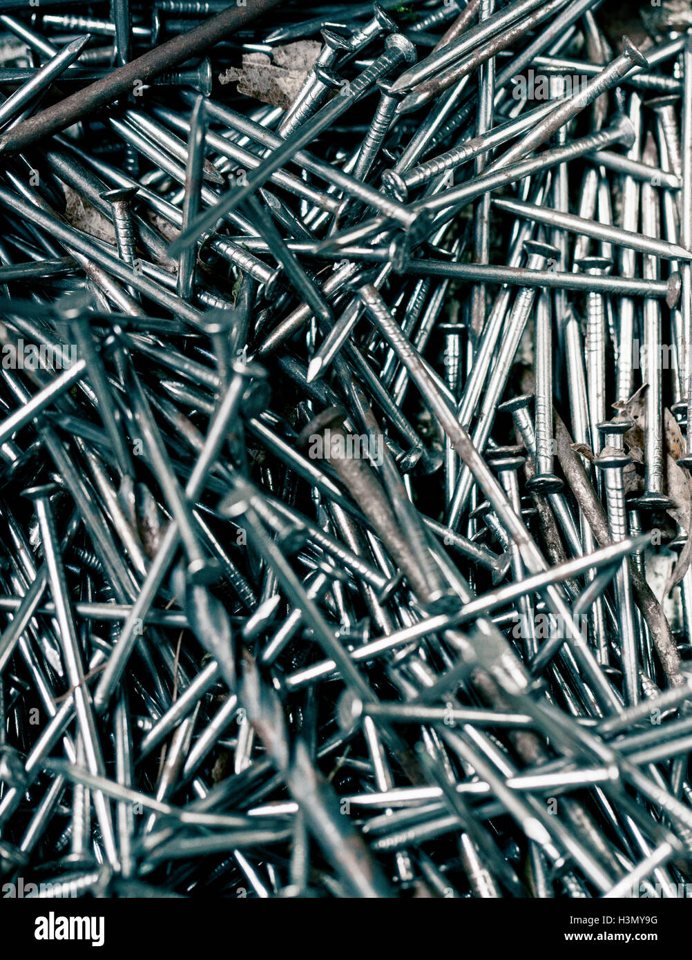 Variety of nails and screws Stock Photo