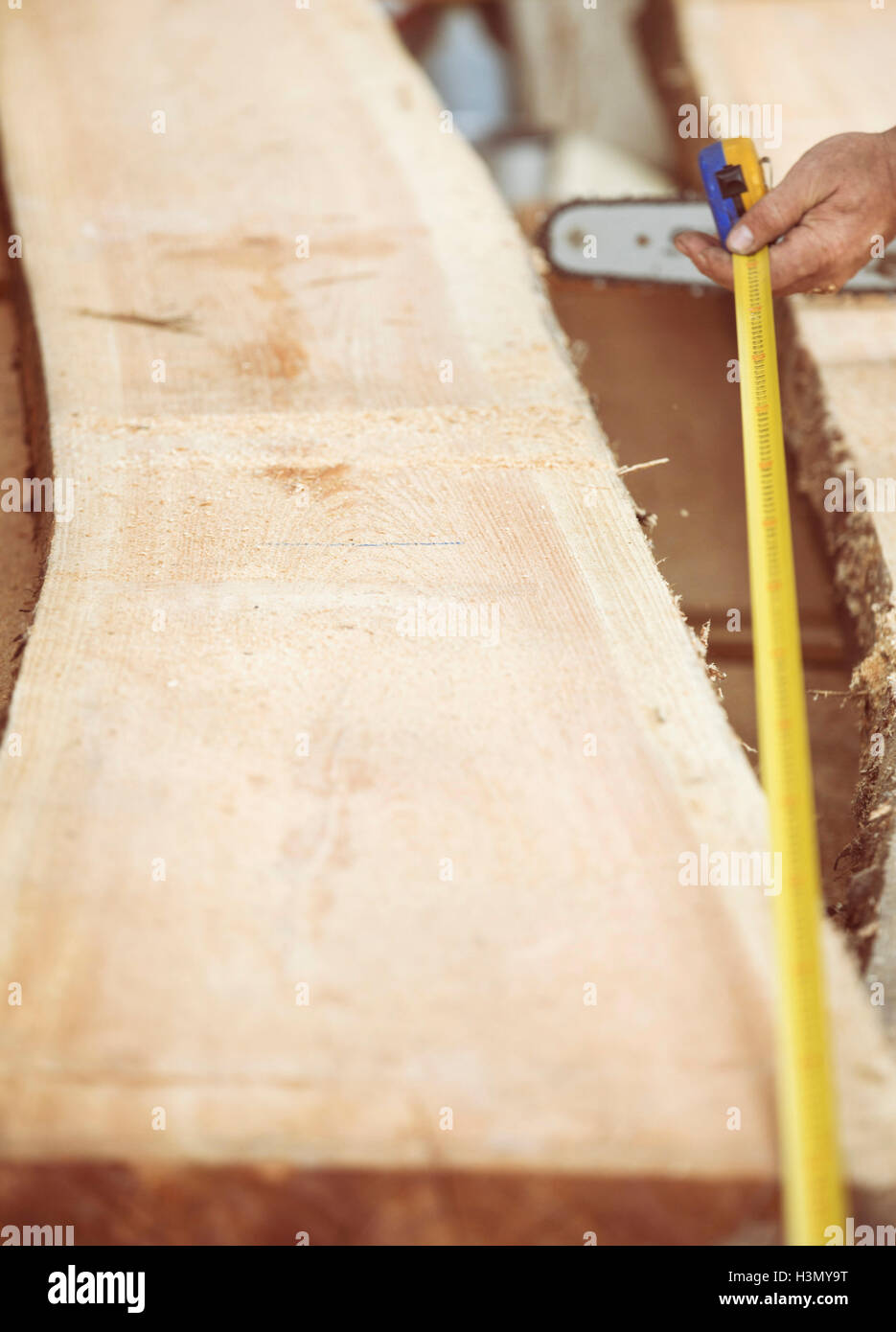 Carpenter measuring wooden plank Stock Photo Alamy