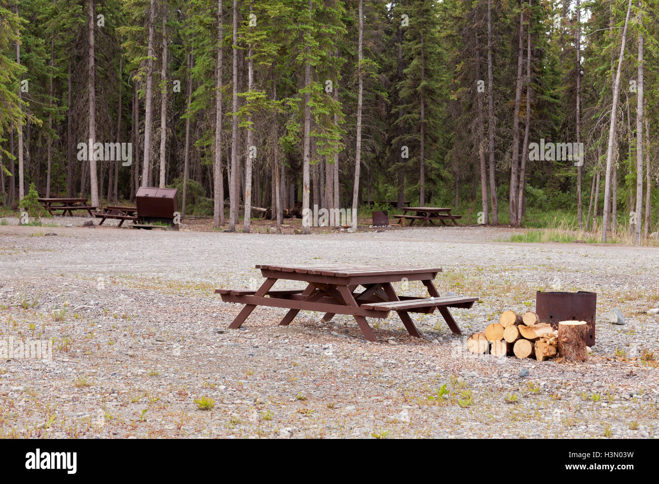 Camp Ground Campsites Camping Table Firepits Stock Photo