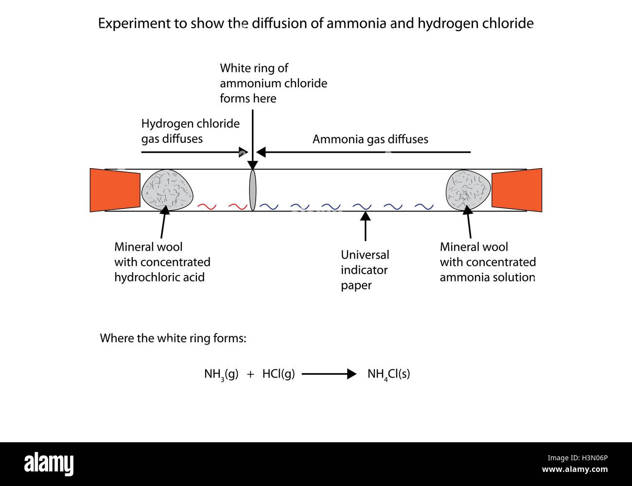 Labelled diagram to show the diffusion of ammonia and hydrogen chloride Stock Vector