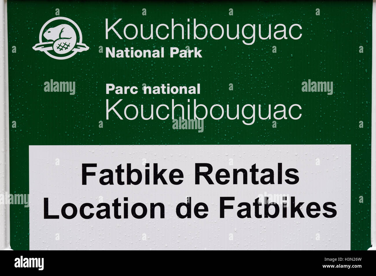 Fatbike fat bike hires stock photography and images Alamy