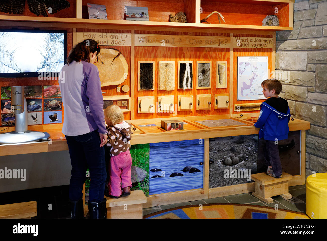 A family looking at the interactive museum exhibits in Kouchibouguac