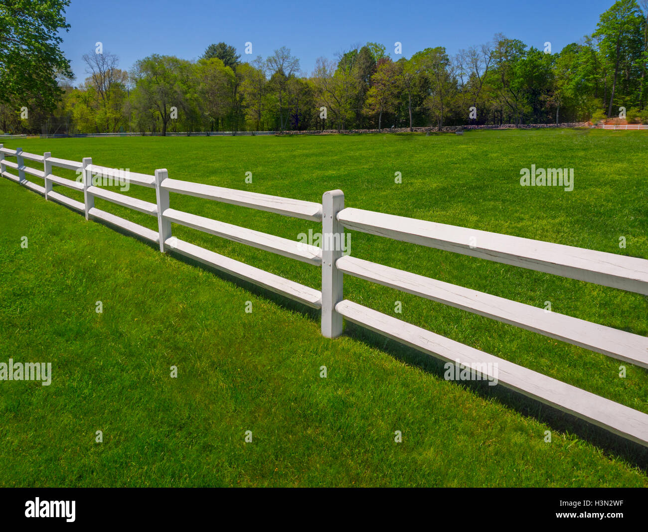 White fence on green grass Stock Photo - Alamy