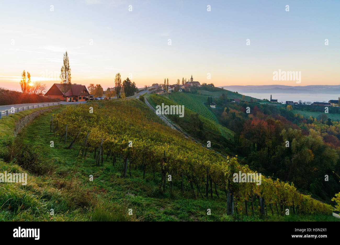 Kitzeck im Sausal (Südsteirisches Weinland): church Painful Mary,  vineyards, village, sunrise, Südwest-Steiermark, Steiermark, Stock Photo