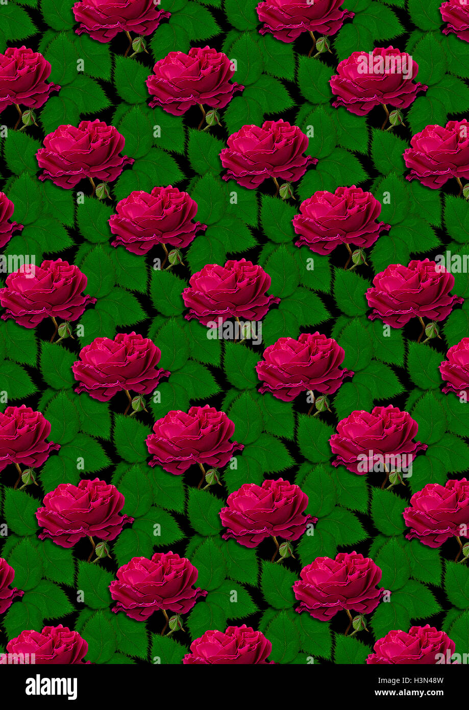 Black seamless background of large red roses and leaves Stock Photo - Alamy