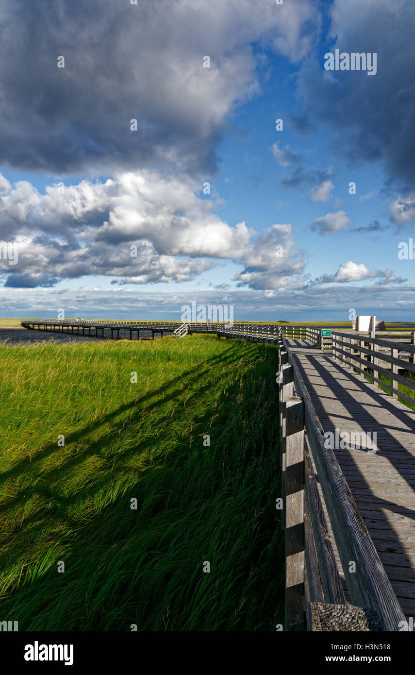 Dramatic skies over Kellys Beach Walkway in Kouchibouguac National Park New Brunswick Canada