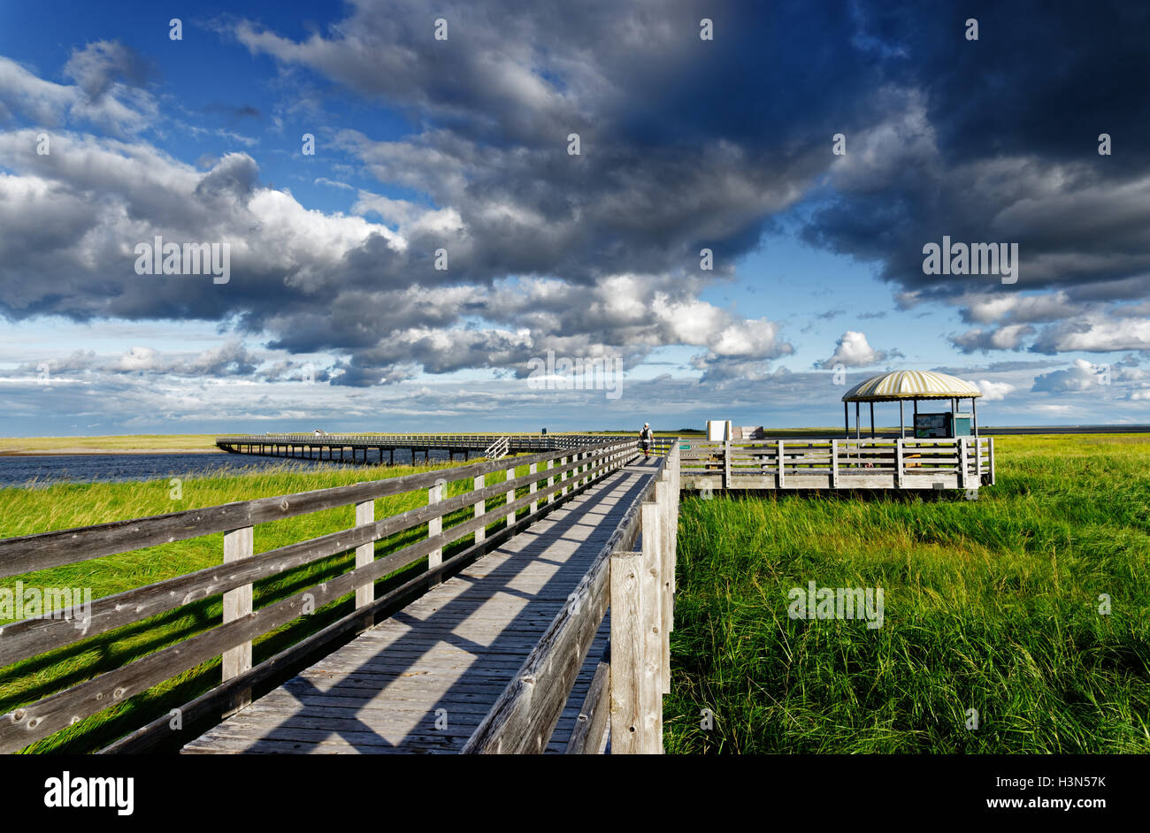 Kellys beach in kouchibouguac national hires stock photography and