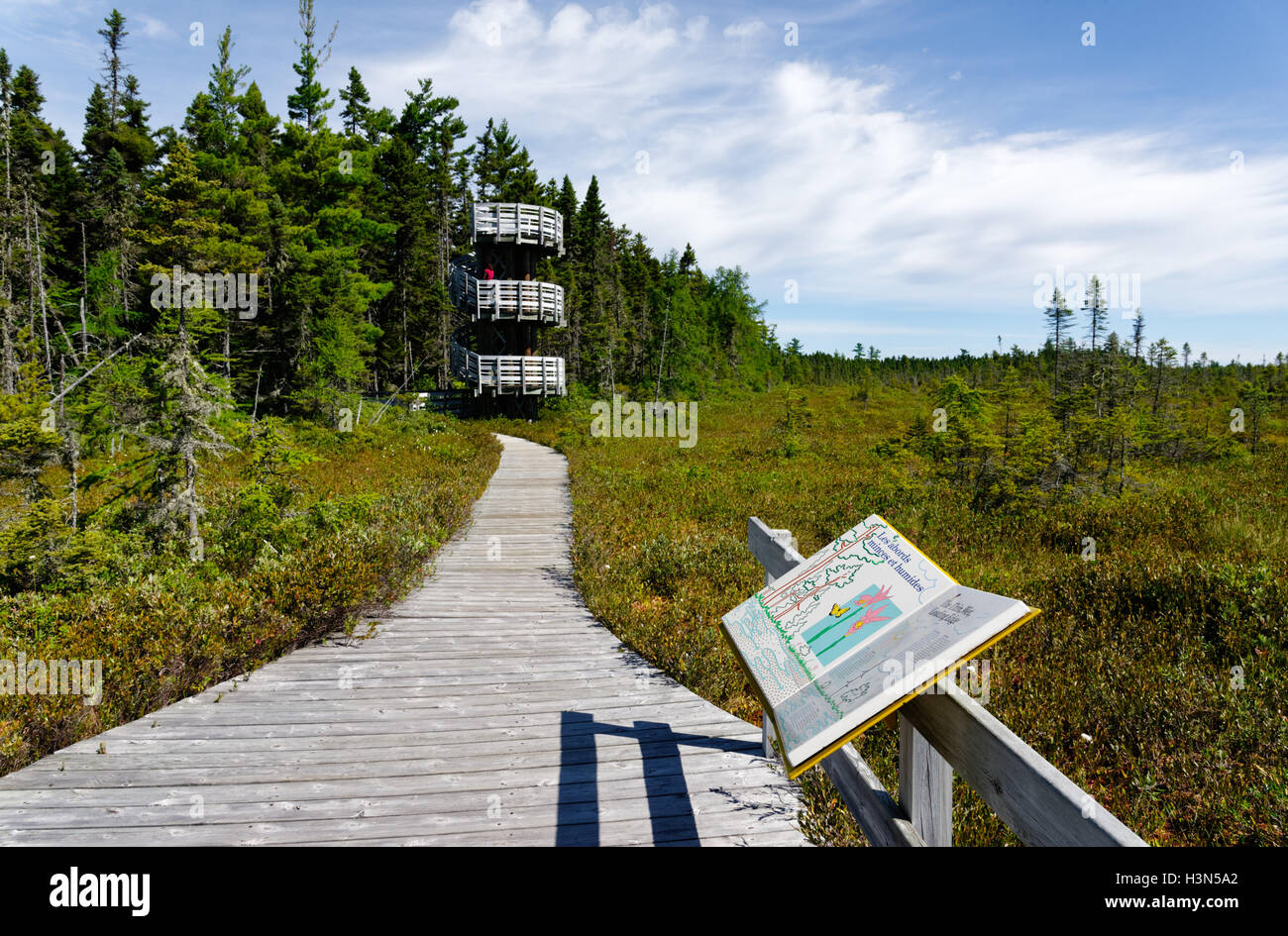 Boardwalk and observation tower on the Bog walk in Kouchibouguac National Park New Brunswick Canada Stock Photo