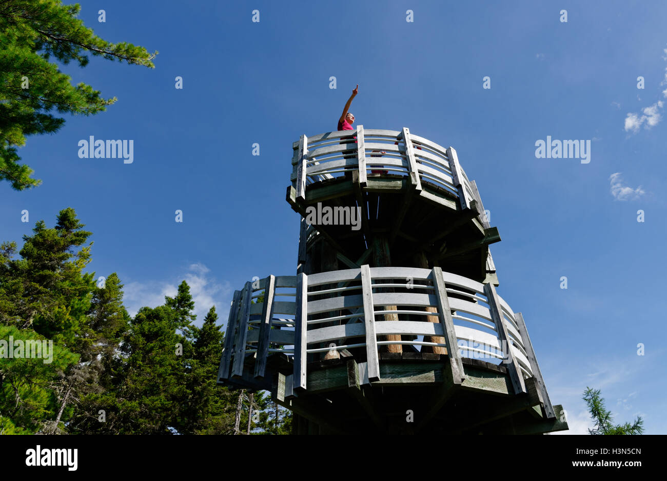 A mum and two children on the observation tower on Bogs walk in Kouchibouguac National Park, New Brunswick, Canada Stock Photo
