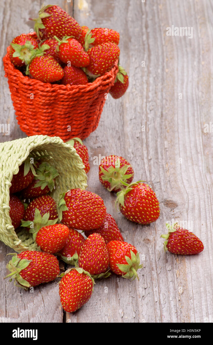 Forest Strawberries Stock Photo