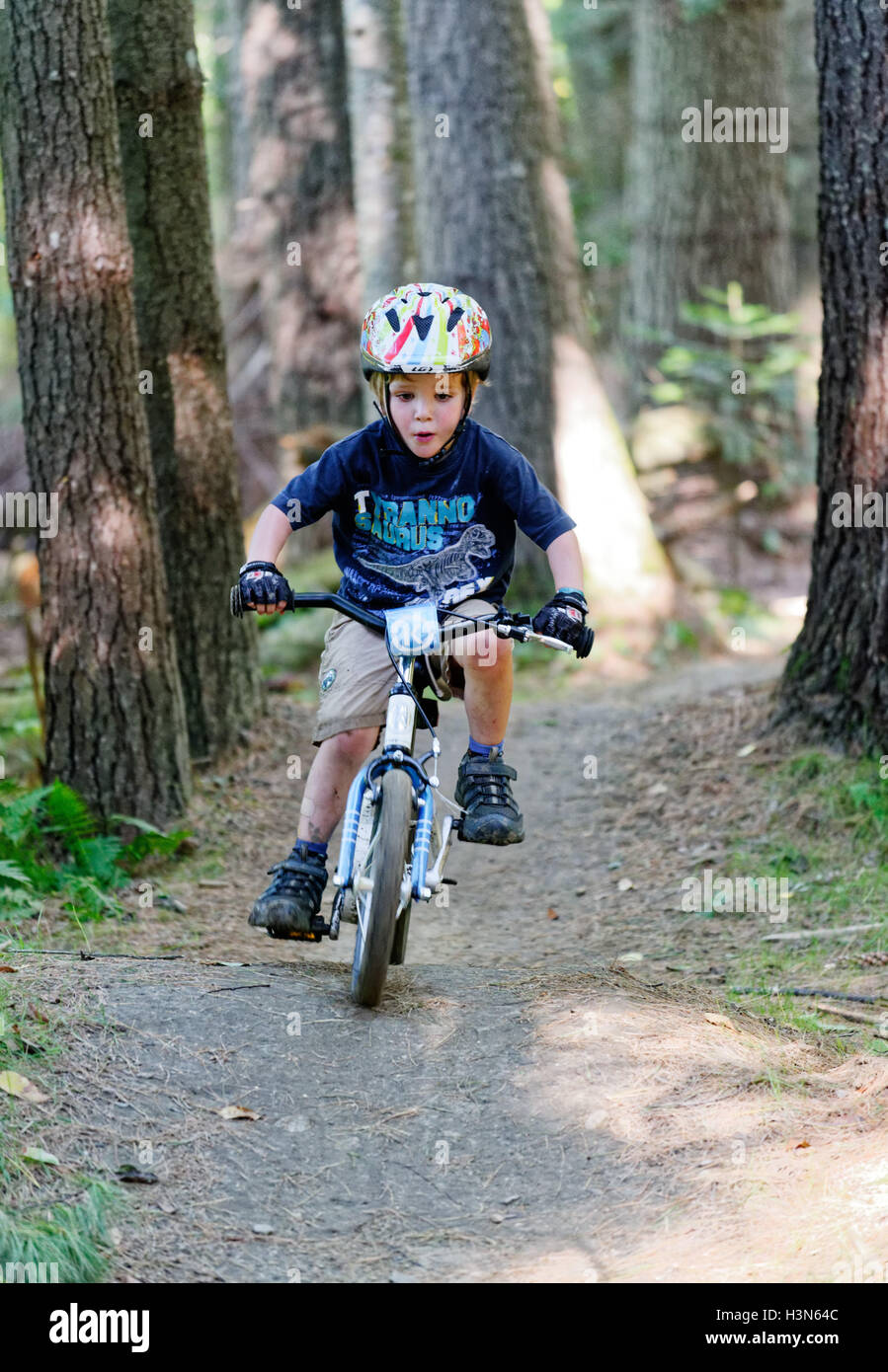 mountain bike for 4 year old