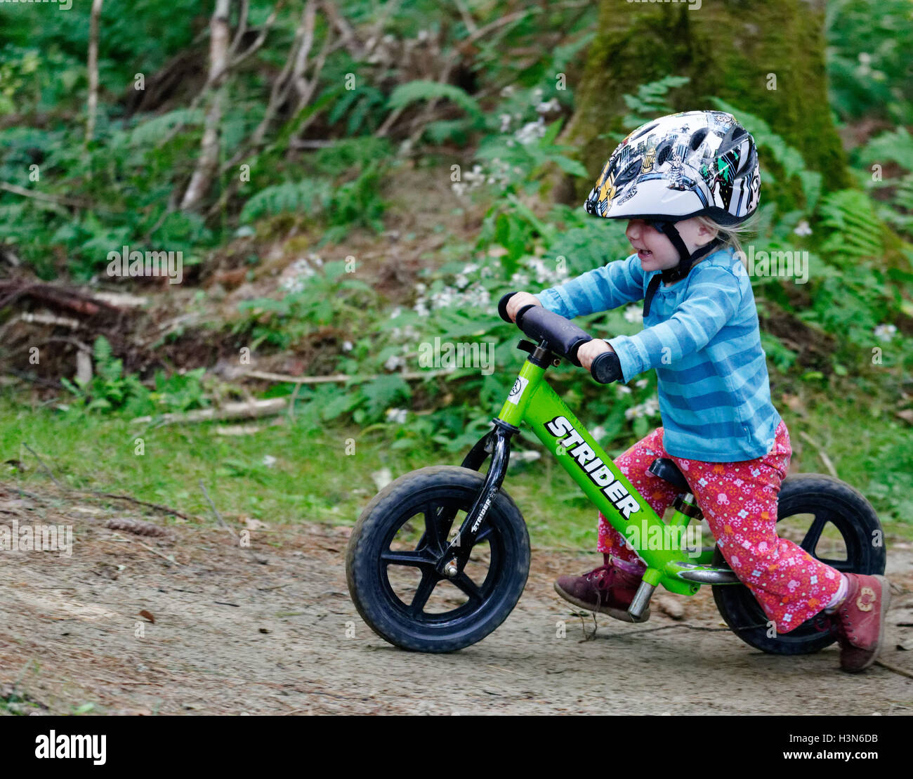 A two year old girl on a balance bike pump track. Taken on Leapfrog pump track at Kingdom Trails Vermont Stock Photo