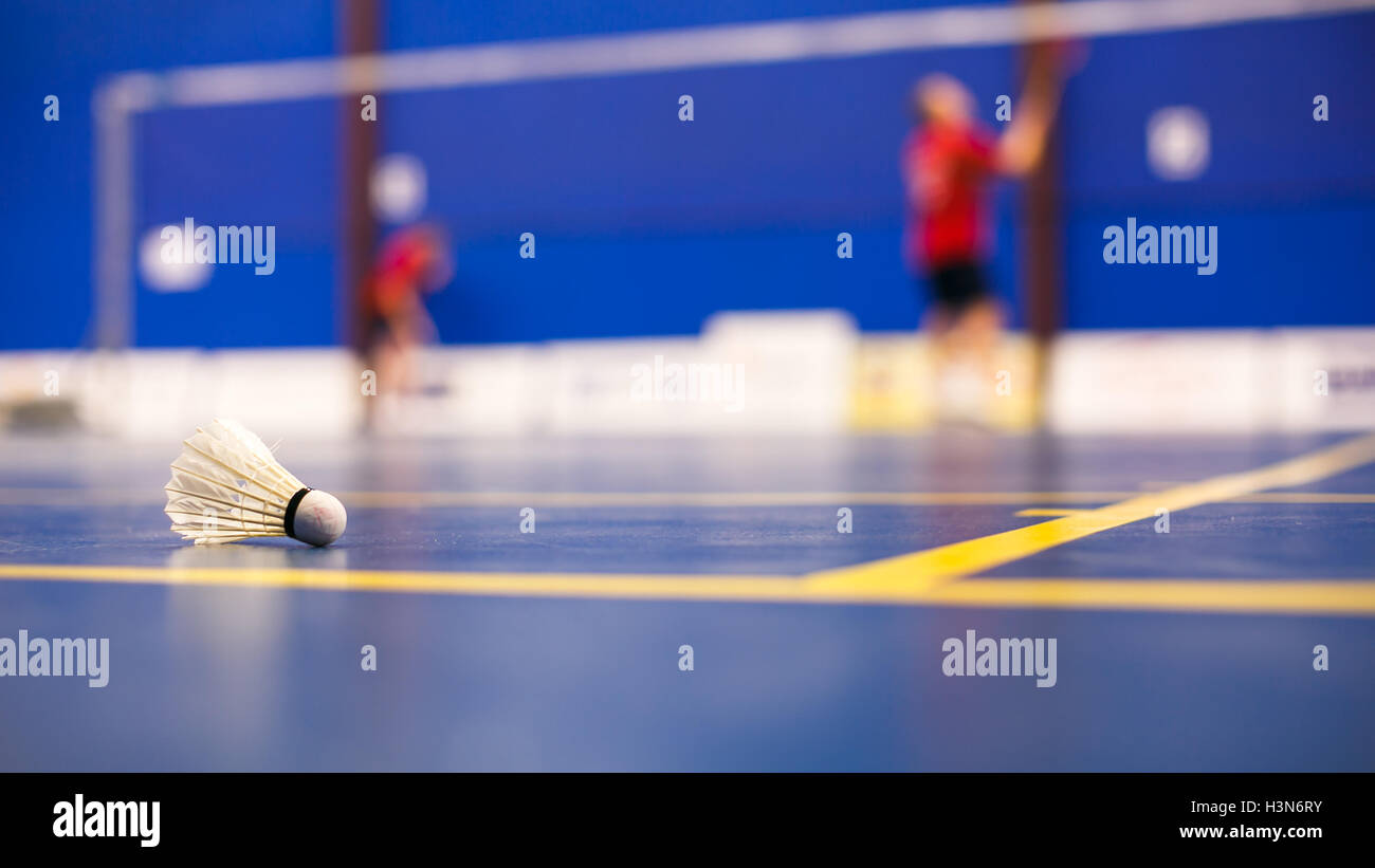 Badminton badminton courts with two shuttlecocks Stock Photo Alamy Badminton badminton courts with two shuttlecocks Stock Photo Alamy