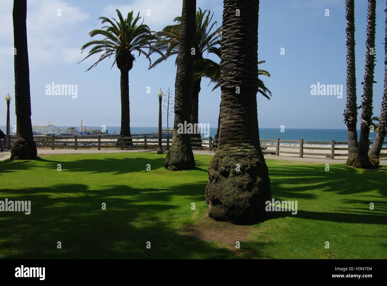 Palm trees, Santa Monica, California, USA Stock Photo