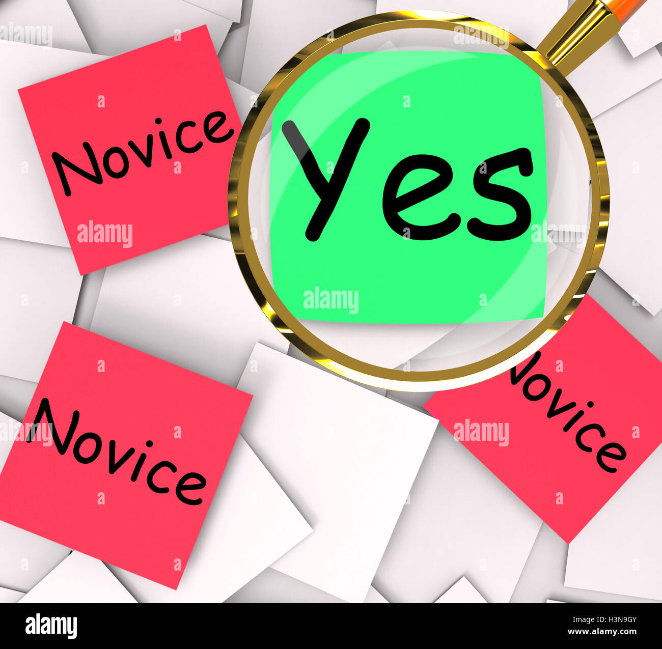 Novice Mean