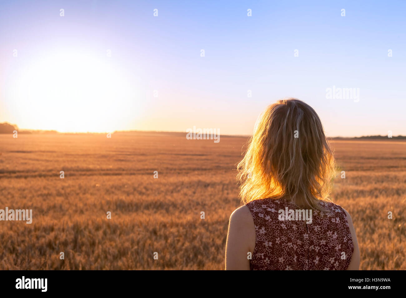 Young beautiful blond girl in yellow field at sunset, summer Stock Photo