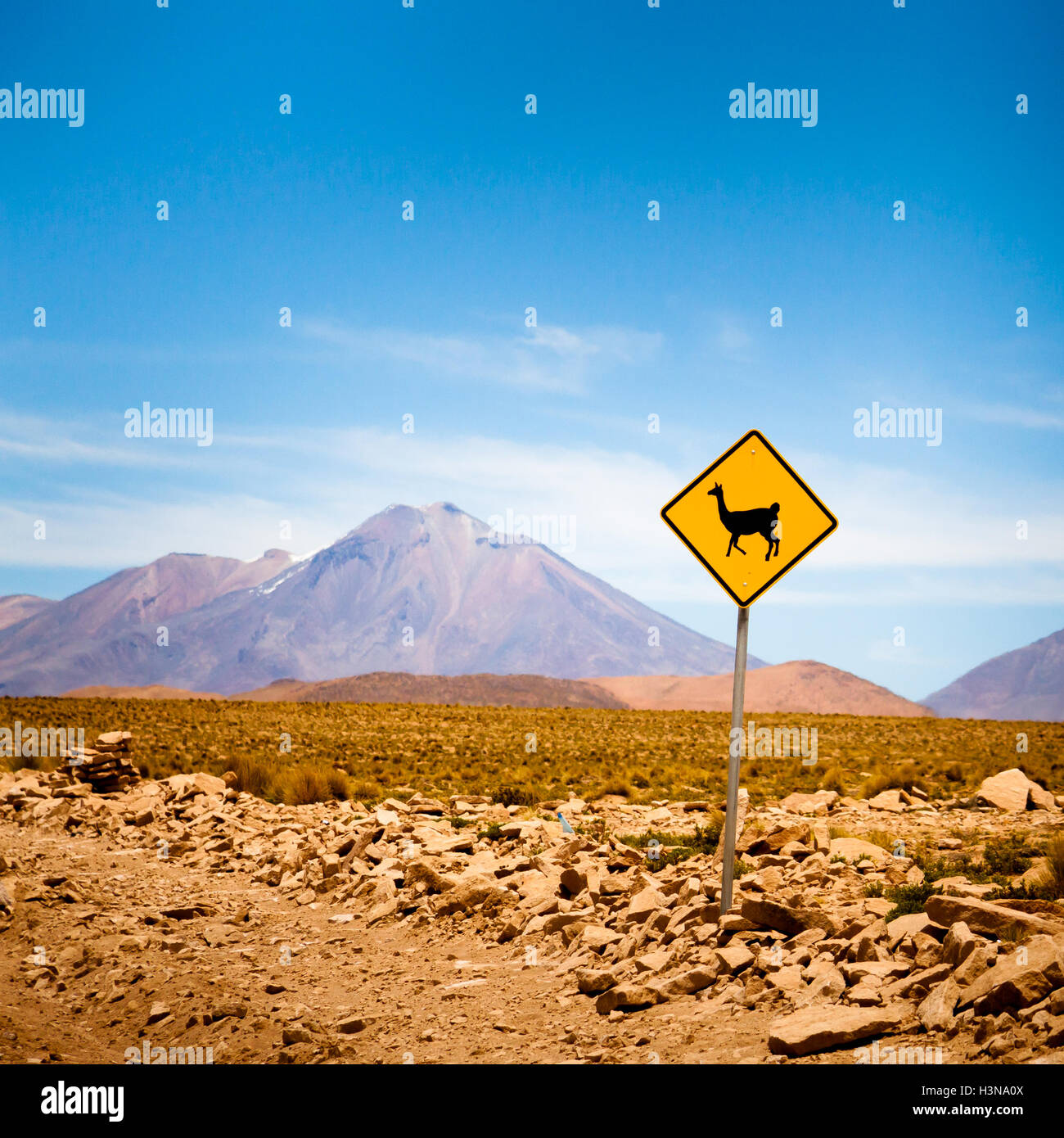 Llama road sign in Bolivia, Andes, South America Stock Photo