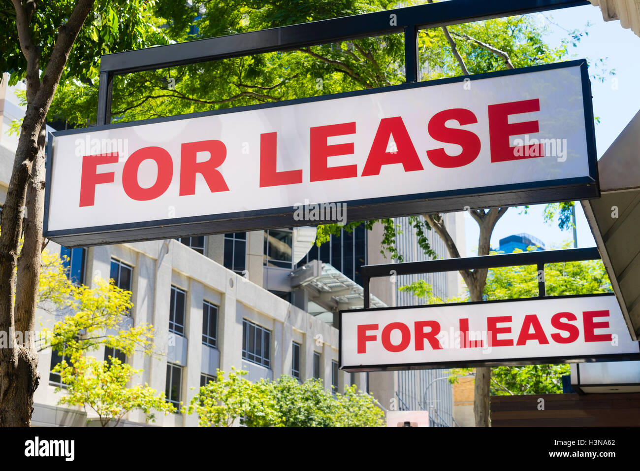 For Lease signs on display outside buildings Stock Photo
