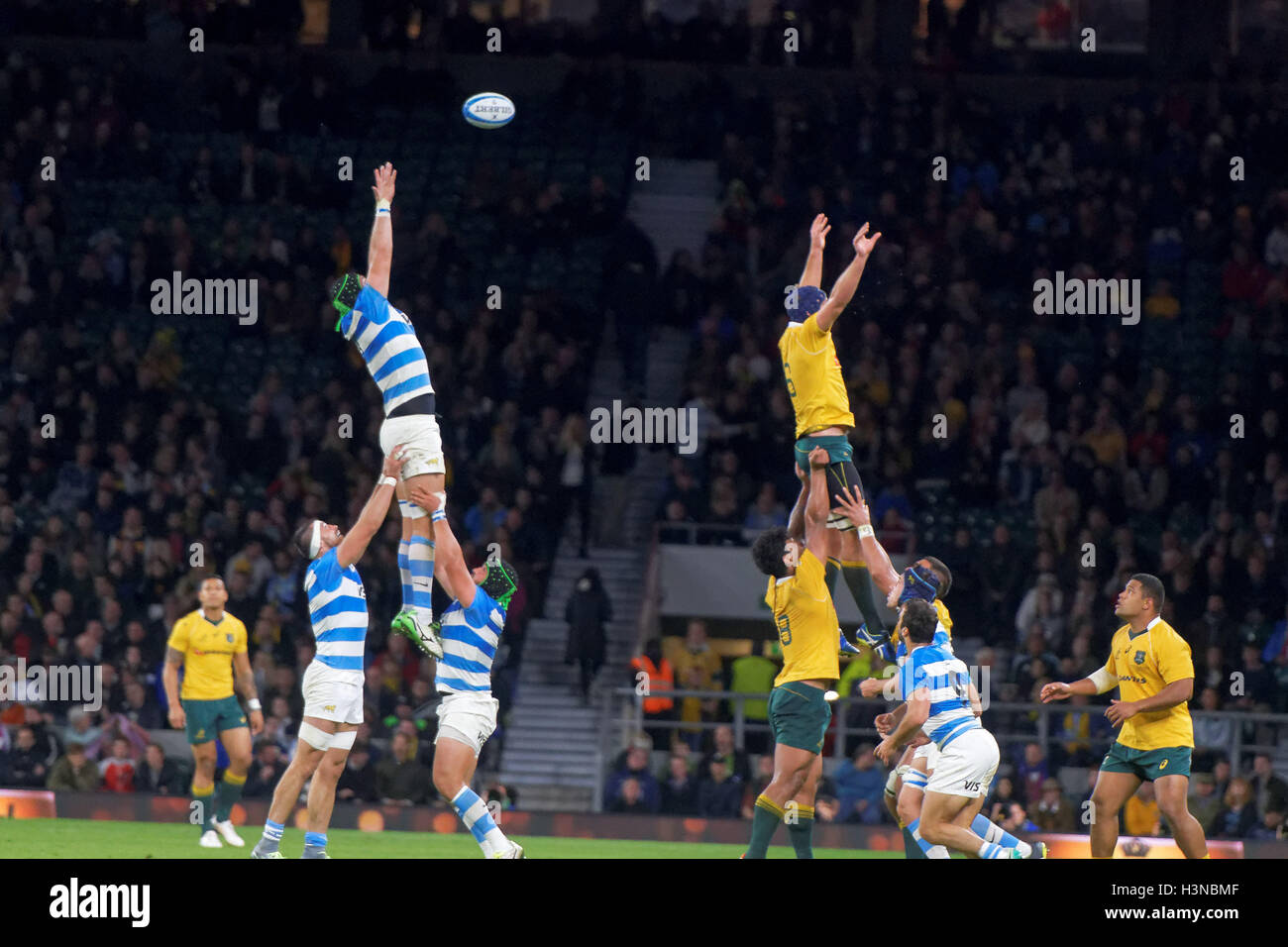 Players jumps for a lineout ball during the rugby union test match between Argentian Pumas and Australian Wallabies