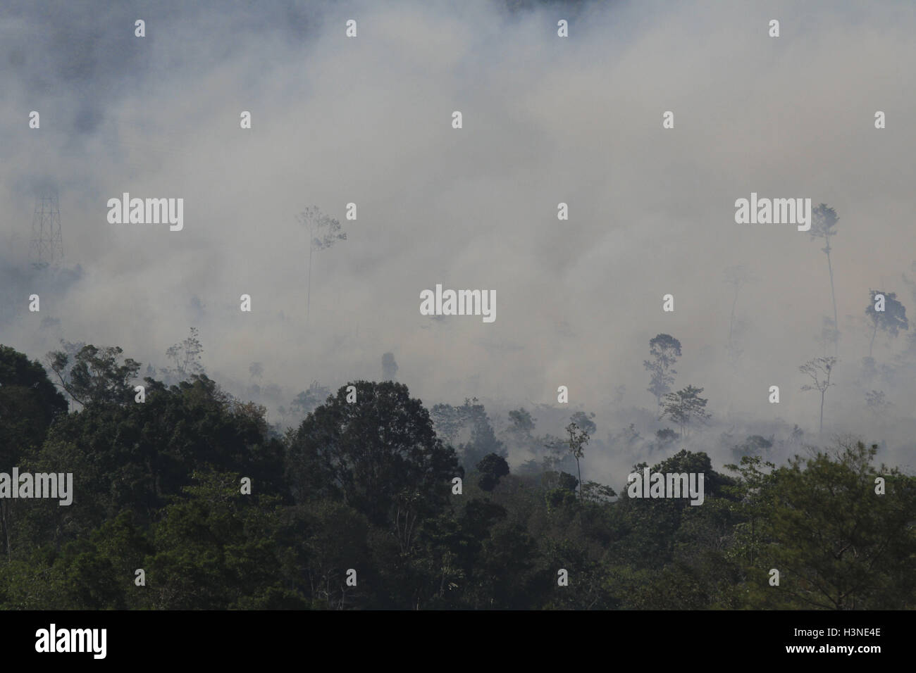 Peat fires indonesia hi-res stock photography and images - Alamy