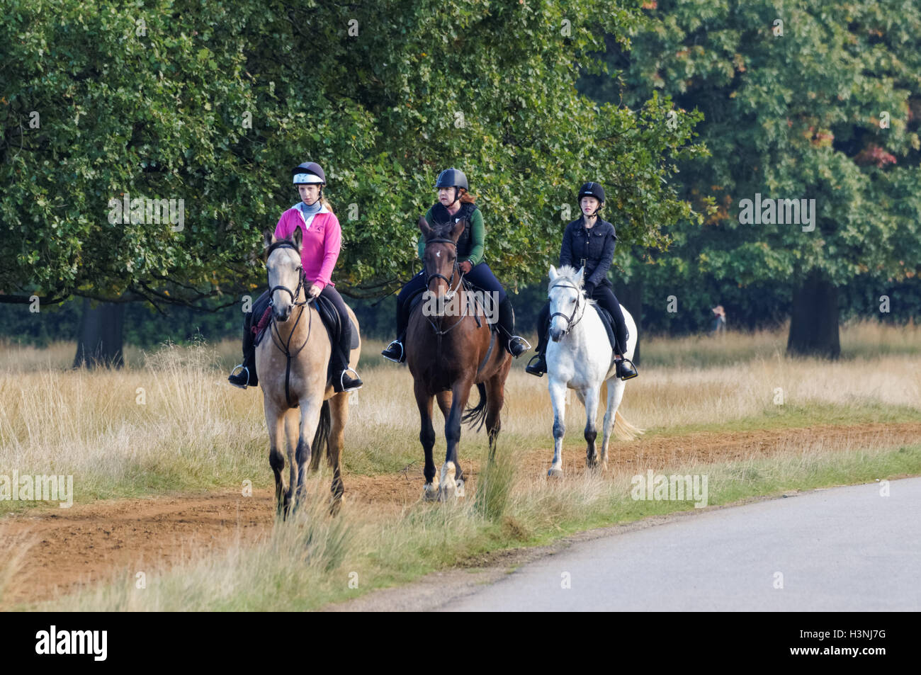 Horse riding in Richmond Park, London England United Kingdom UK Stock