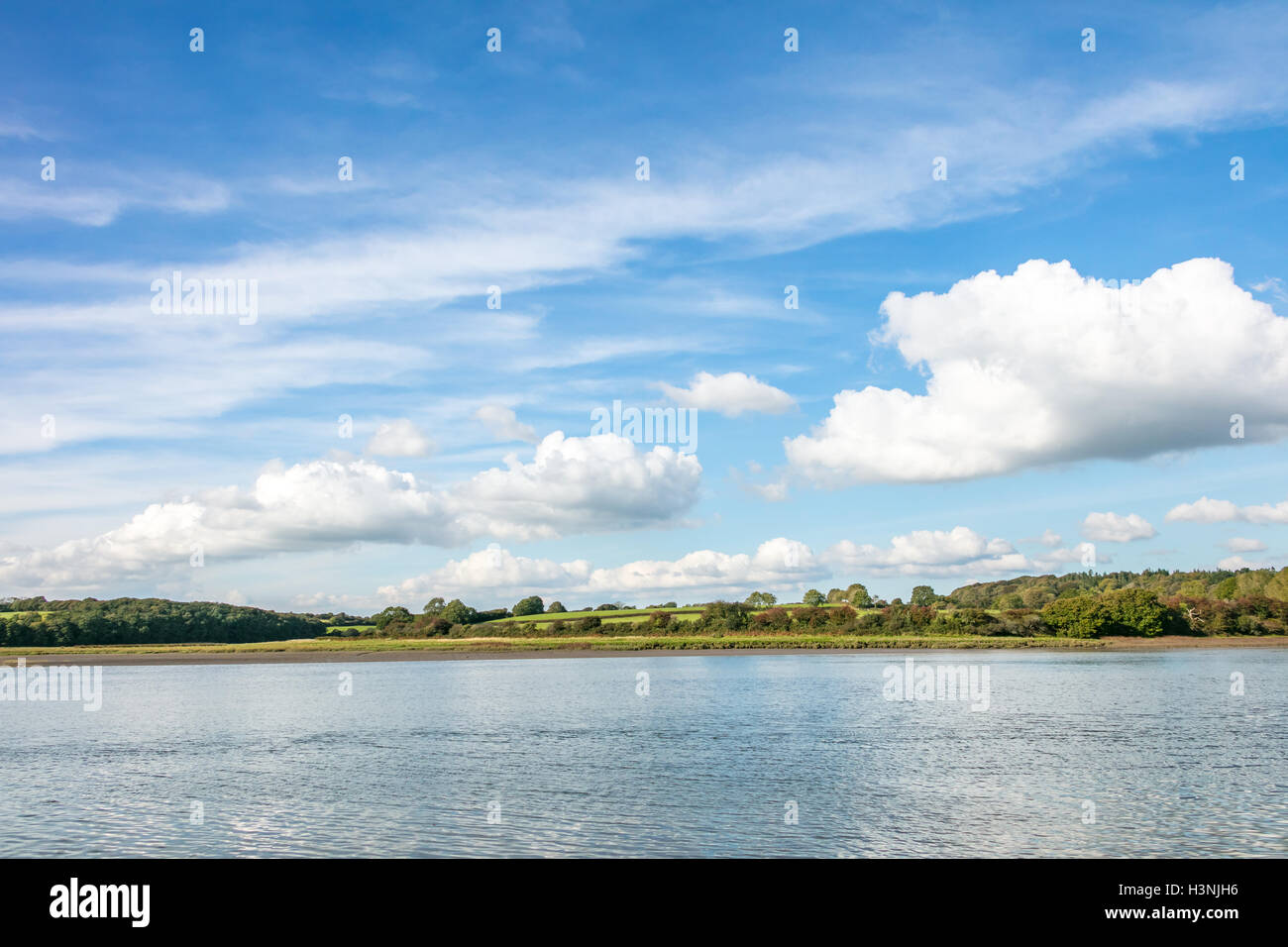 Cleddau estuary hires stock photography and images Alamy