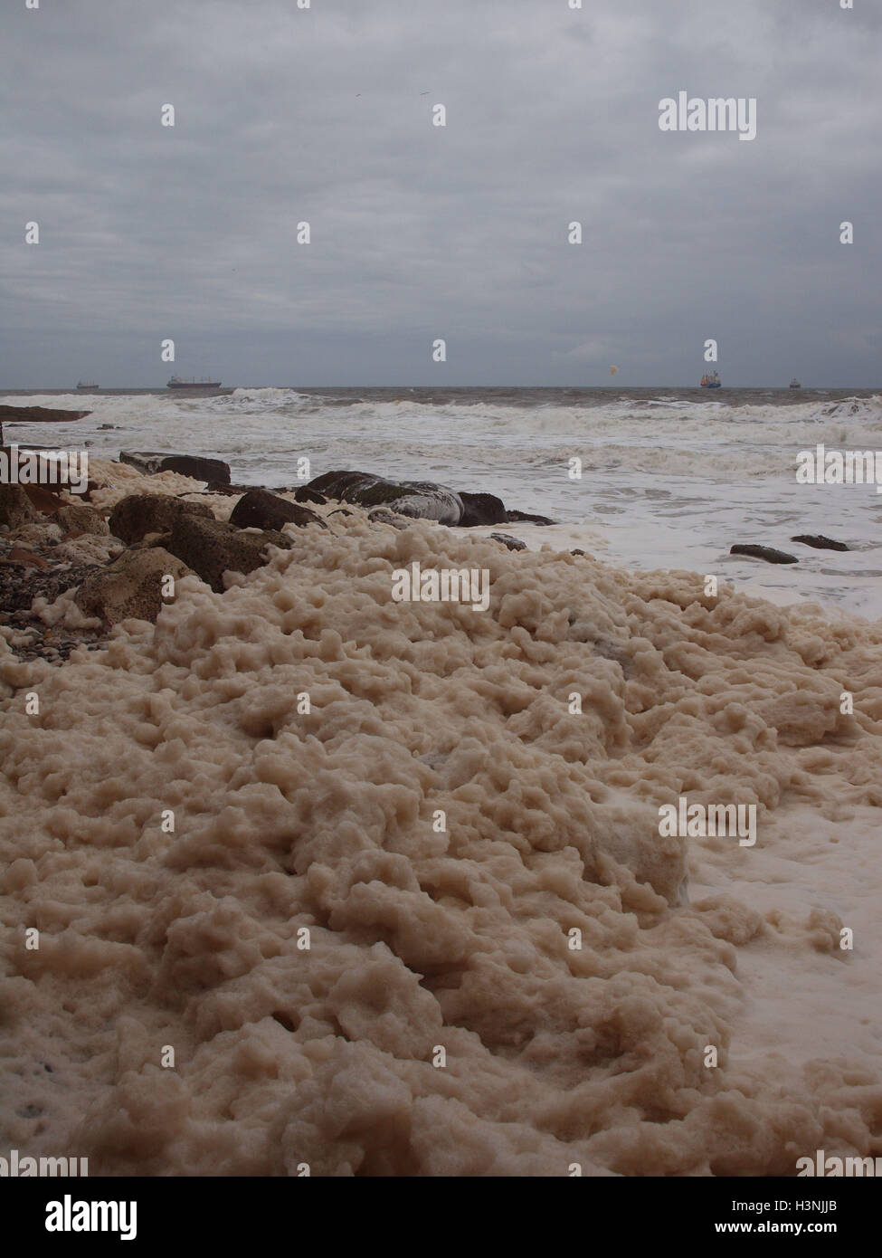 Sea foam forming on the beach, strong sticky spume substance made from  organic matter in seawater. . High quality photo Stock Photo - Alamy