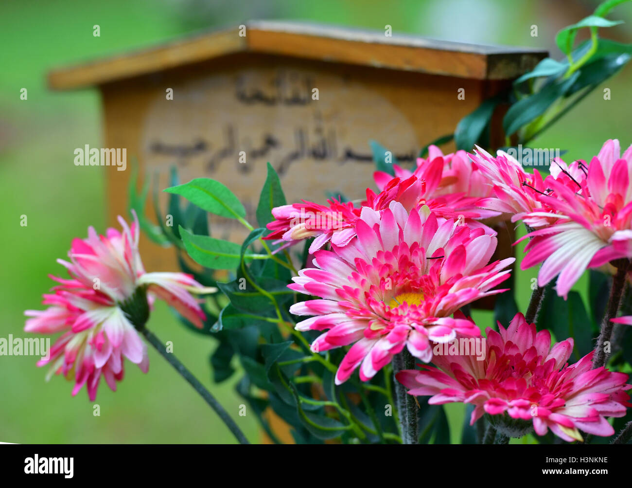 Erfurt, Germany. 11th Oct, 2016. Flowers can be seen next to grave