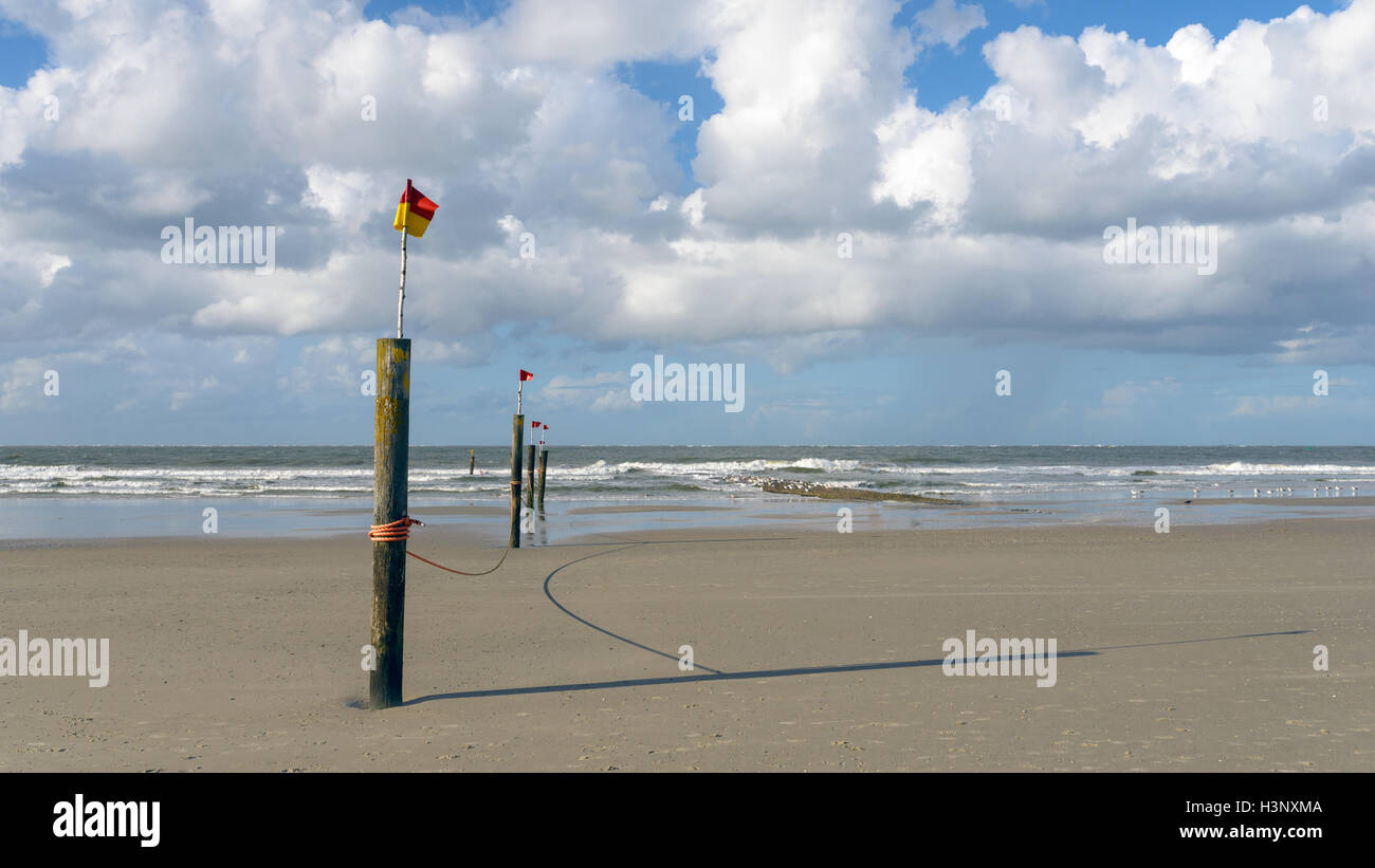 Flags fluttering on a line of poles leading to the edge of the surf on a tropical beach with dramatic white cumulus cloud format Stock Photo
