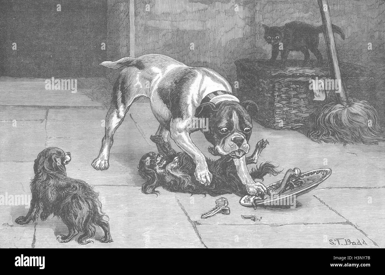 DOGS Robbery with violence 1884. Illustrated London News Stock Photo