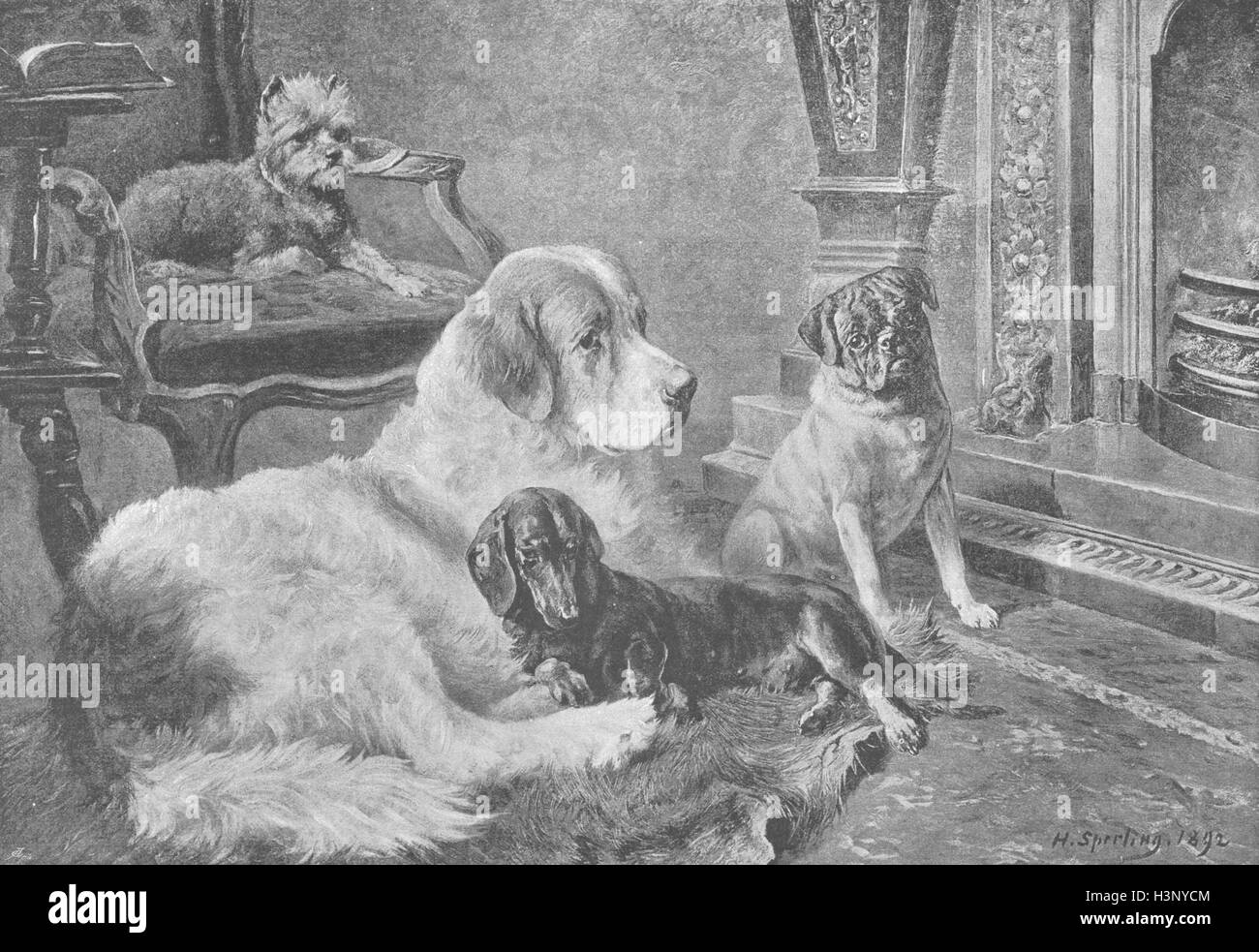 DOGS Fireside Fancies 1894. The Graphic Stock Photo