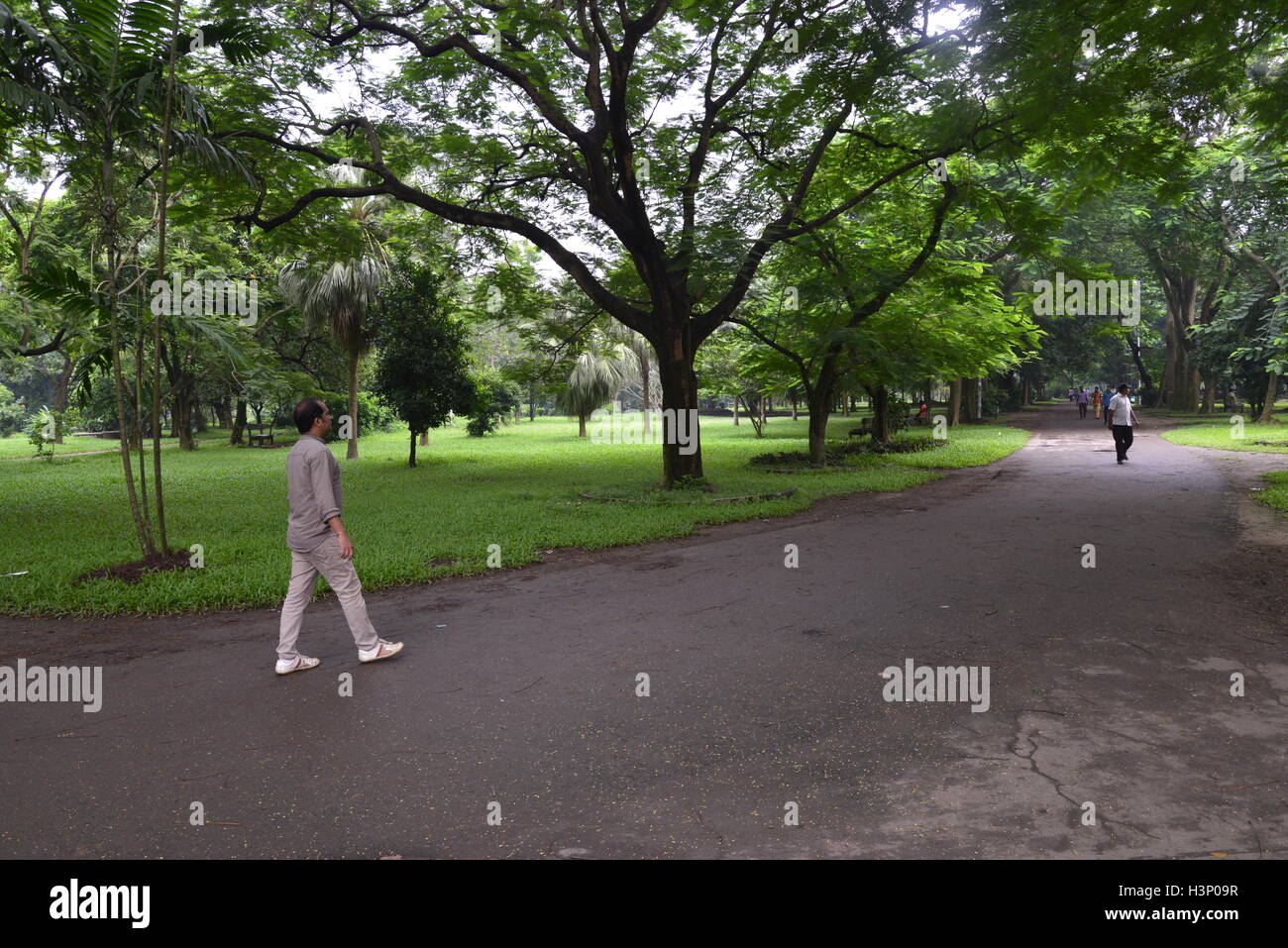 Bangladeshi Citizens walking in the Ramna Park in Dhaka city in ...