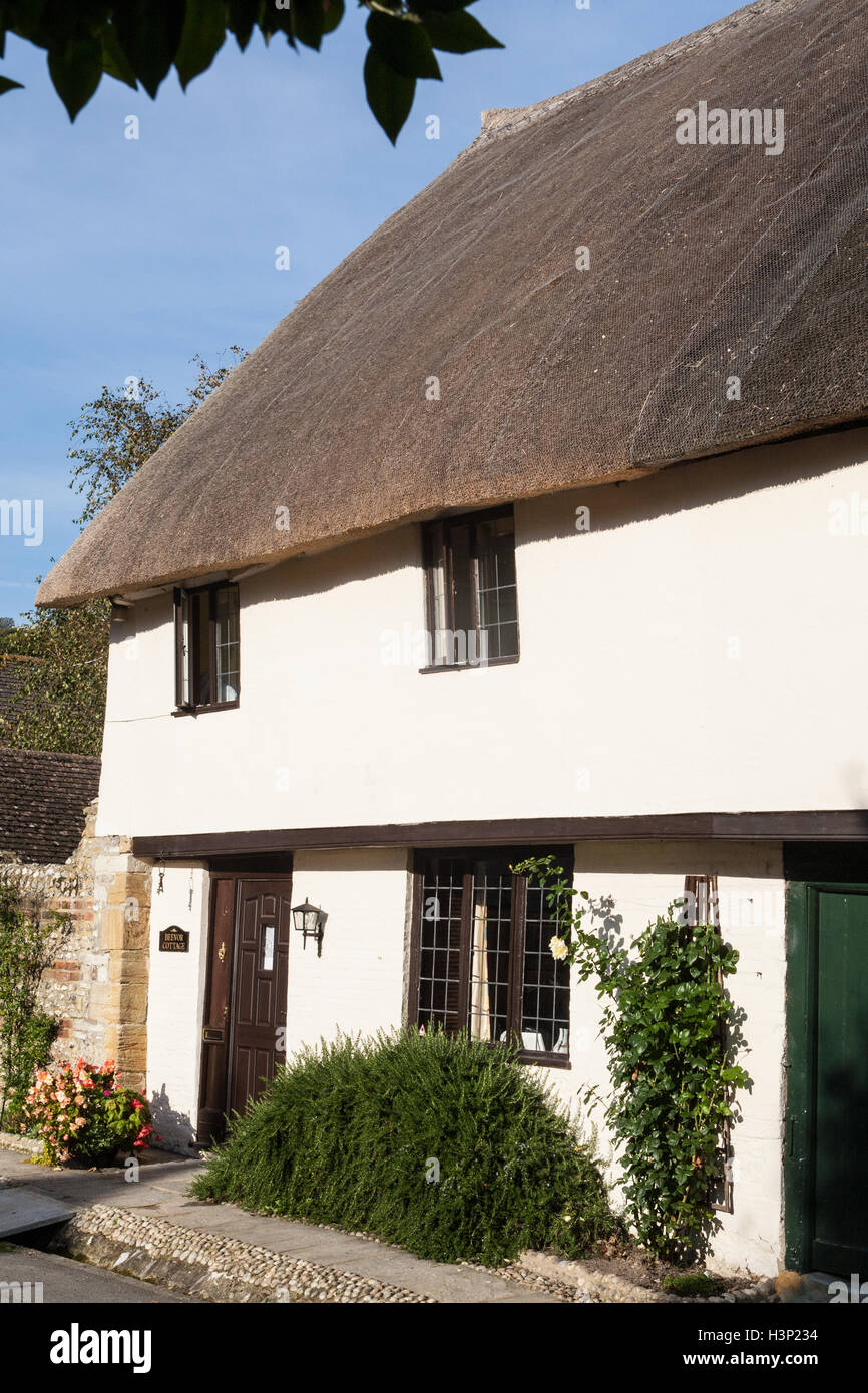 Thatched roof property in centre center of historic village of Cerne