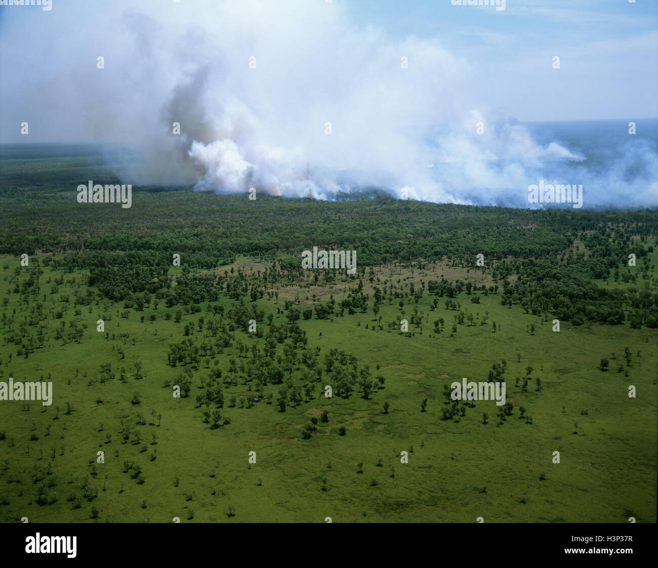 Bushfire lit by Aborigines during the dry season Stock Photo