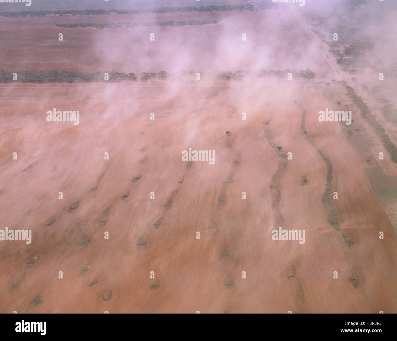 Topsoil erosion, soil being blown away by wind. Stock Photo