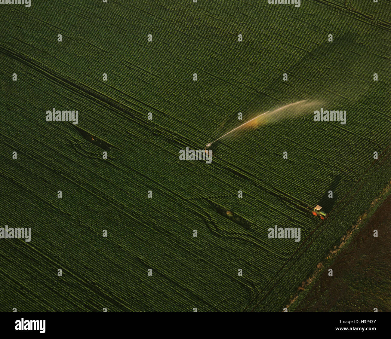 Irrigation by motorised sprinkler, Stock Photo