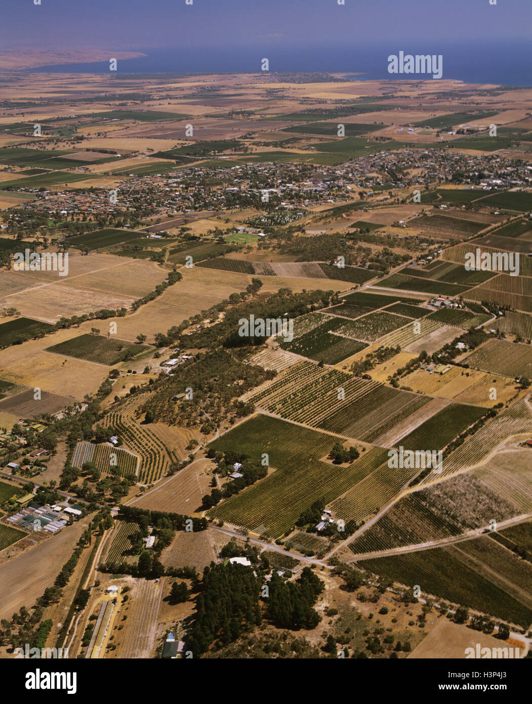 McLaren Vale township and vineyards, Stock Photo