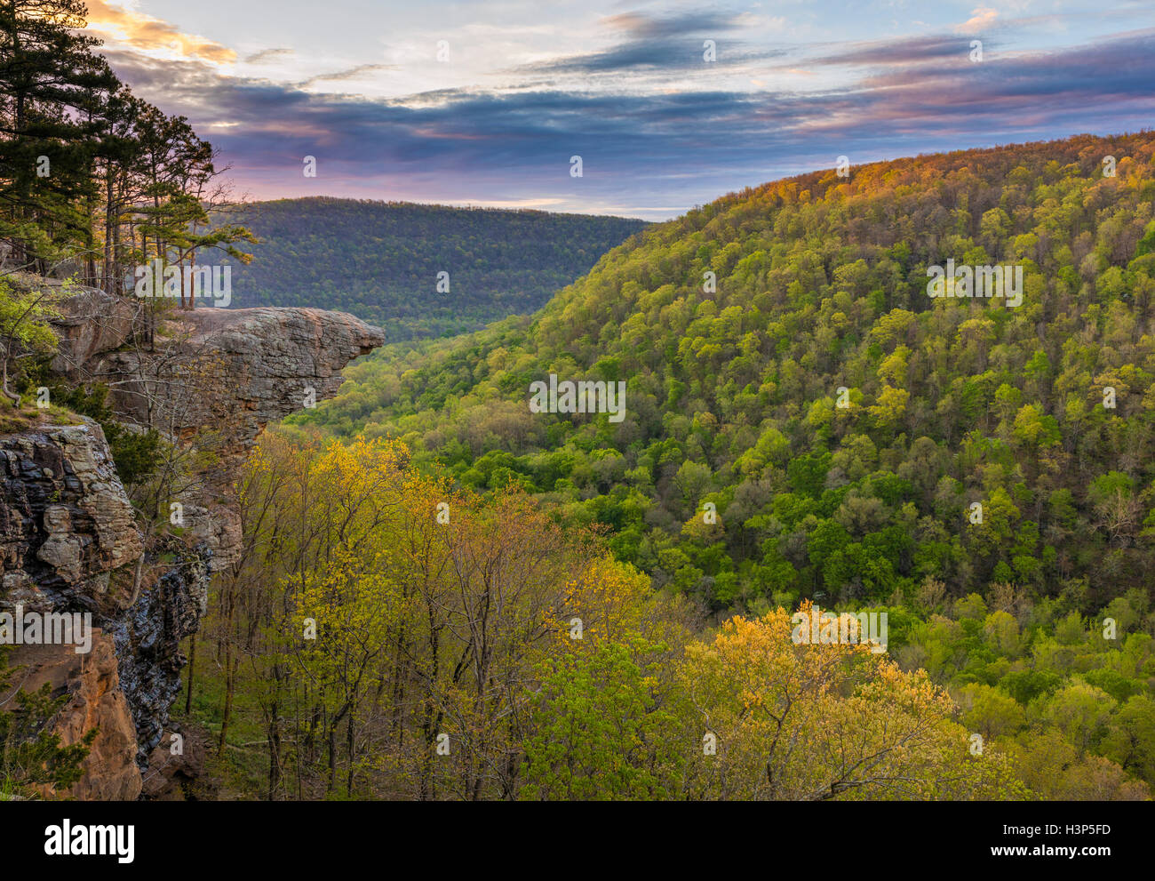 Ozark National Forest, AR: Sunrise at Hawksbill Crag in the Upper Buffalo Wilderness Area Stock Photo