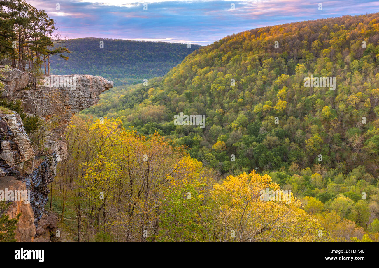 Ozark National Forest, AR: Sunrise at Hawksbill Crag in the Upper Buffalo Wilderness Area Stock Photo